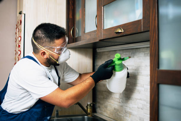 Best Local Pest Control Services  in Smyrna, GA