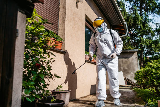 Best Pest Prevention Services  in Smyrna, GA