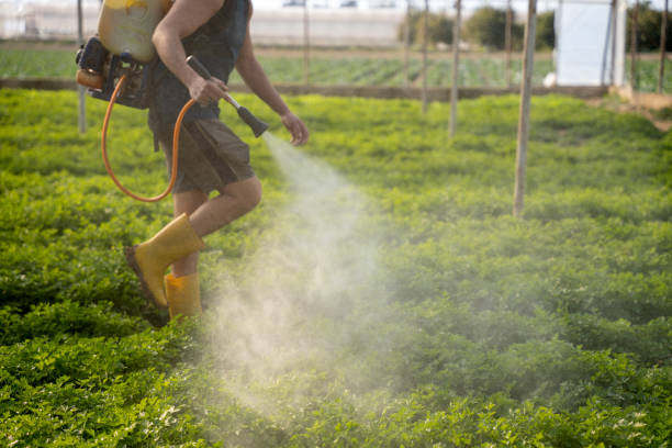 Best Affordable Pest Control Services  in Smyrna, GA