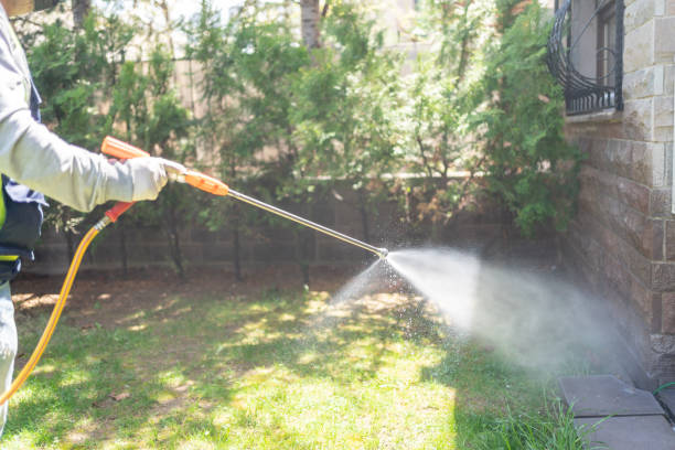 Best Emergency Pest Control  in Smyrna, GA