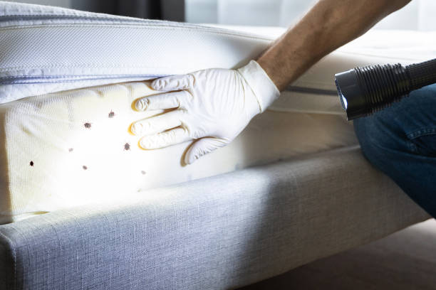 Best Affordable Pest Control Services  in Smyrna, GA
