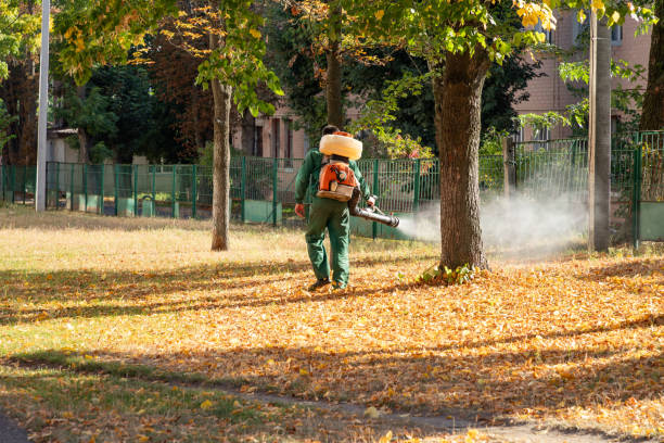 Best Termite Control Services  in Smyrna, GA