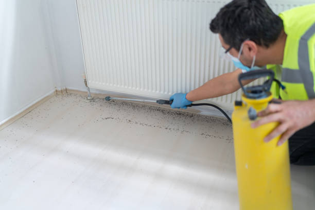 Best Commercial Pest Control Services  in Smyrna, GA
