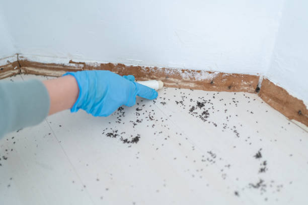 Smyrna, GA Pest Control Company