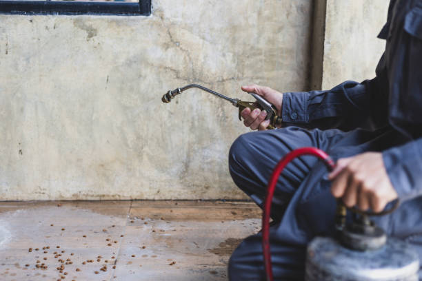 Best Best Pest Control Near Me  in Smyrna, GA